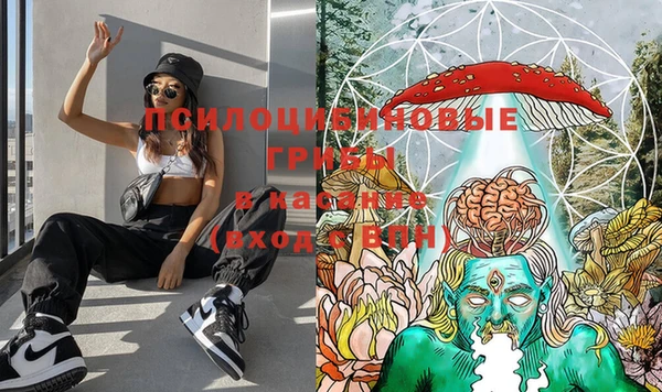 амф Нижний Тагил